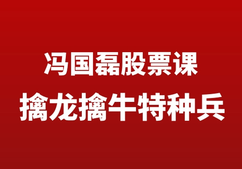 冯国磊擒龙擒牛特种兵 精品小班课程