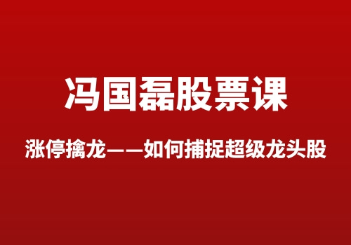 冯国磊《涨停擒龙——如何捕捉超级龙头股》