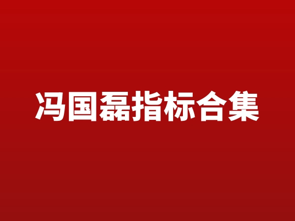 冯国磊指标合集